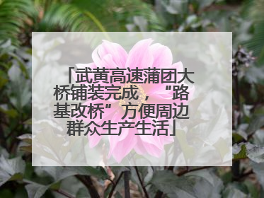 武黄高速蒲团大桥铺装完成，“路基改桥”方便周边群众生产生活