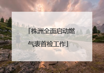 株洲全面启动燃气表首检工作