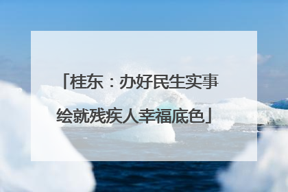 桂东：办好民生实事 绘就残疾人幸福底色