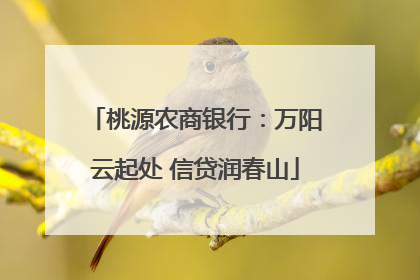 桃源农商银行：万阳云起处 信贷润春山