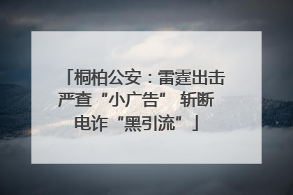 桐柏公安：雷霆出击严查“小广告” 斩断电诈“黑引流”