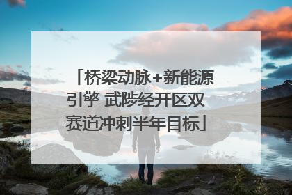 桥梁动脉+新能源引擎 武陟经开区双赛道冲刺半年目标
