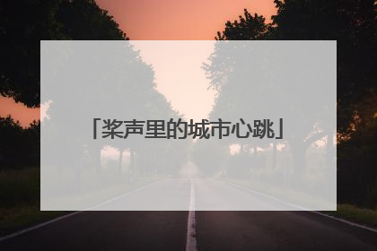 桨声里的城市心跳