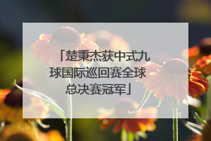 楚秉杰获中式九球国际巡回赛全球总决赛冠军