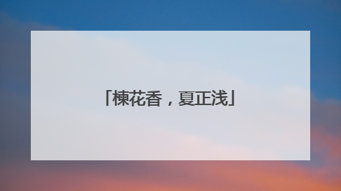 楝花香，夏正浅