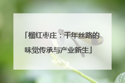 榴红枣庄：千年丝路的味觉传承与产业新生