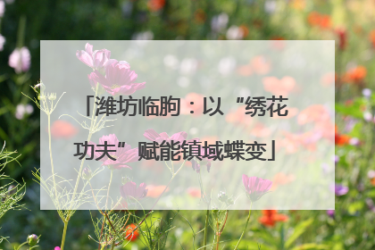 潍坊临朐：以“绣花功夫”赋能镇域蝶变