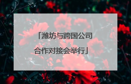 潍坊与跨国公司合作对接会举行