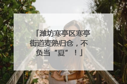 潍坊寒亭区寒亭街道麦熟归仓，不负当“夏”！