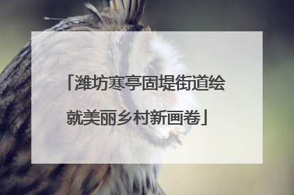 潍坊寒亭固堤街道绘就美丽乡村新画卷