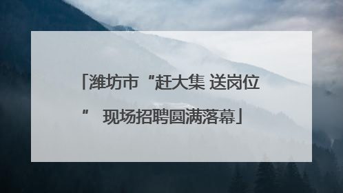 潍坊市“赶大集 送岗位” 现场招聘圆满落幕