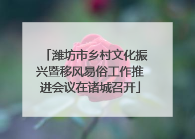 潍坊市乡村文化振兴暨移风易俗工作推进会议在诸城召开