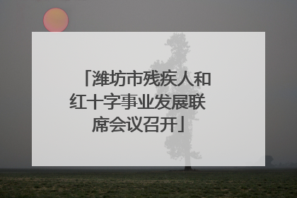 潍坊市残疾人和红十字事业发展联席会议召开