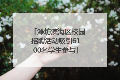 潍坊滨海区校园招聘活动吸引6100名学生参与
