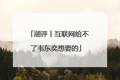 潮评丨互联网给不了韦东奕想要的