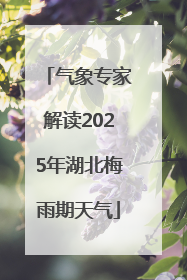 气象专家解读2025年湖北梅雨期天气
