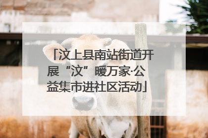 汶上县南站街道开展“汶”暖万家·公益集市进社区活动