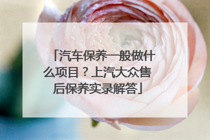 汽车保养一般做什么项目？上汽大众售后保养实录解答