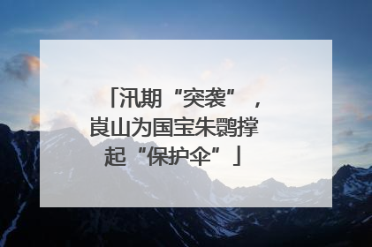 汛期“突袭”，崀山为国宝朱鹮撑起“保护伞”