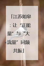 江苏如皋：让“正能量”与“大流量”同频共振