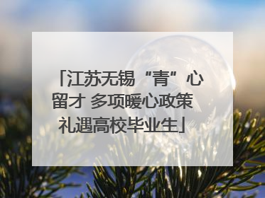 江苏无锡“青”心留才 多项暖心政策礼遇高校毕业生