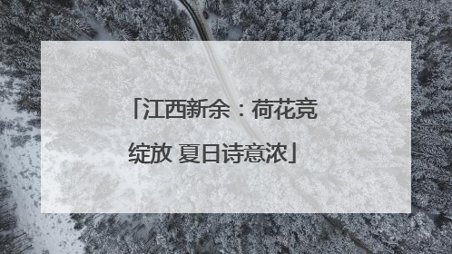 江西新余：荷花竞绽放 夏日诗意浓
