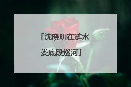 沈晓明在涟水娄底段巡河