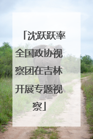 沈跃跃率全国政协视察团在吉林开展专题视察