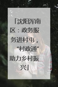 沈阳浑南区：政务服务进村屯，“村政通”助力乡村振兴