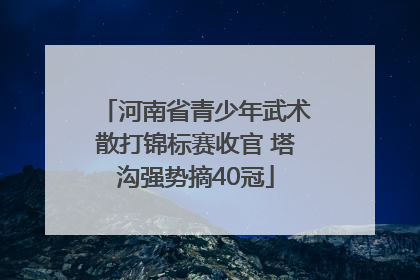 河南省青少年武术散打锦标赛收官 塔沟强势摘40冠