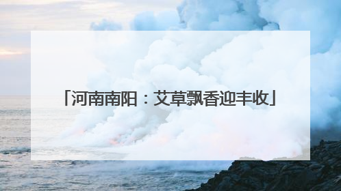 河南南阳：艾草飘香迎丰收
