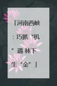 河南西峡：巧抓“机”遇 林下生“金”