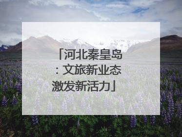 河北秦皇岛：文旅新业态激发新活力