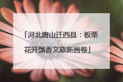 河北唐山迁西县：板栗花开飘香文旅新画卷