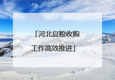 河北夏粮收购工作高效推进