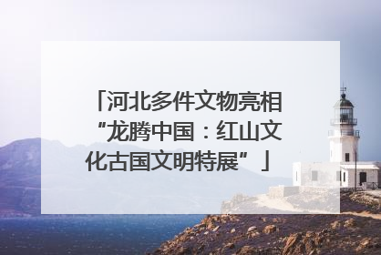 河北多件文物亮相“龙腾中国：红山文化古国文明特展”