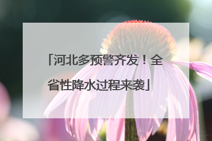 河北多预警齐发！全省性降水过程来袭