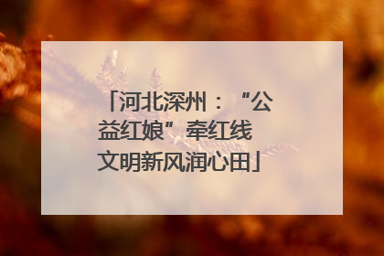 河北深州：“公益红娘”牵红线 文明新风润心田