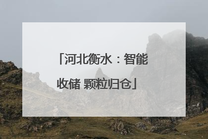 河北衡水：智能收储 颗粒归仓