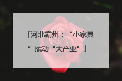 河北霸州：“小家具”撬动“大产业”