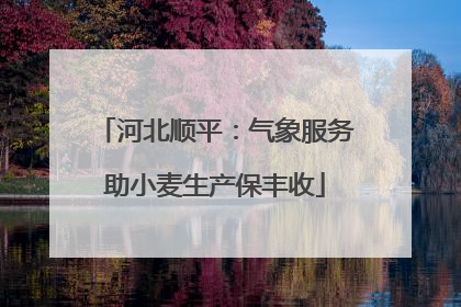 河北顺平：气象服务助小麦生产保丰收