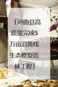 河曲县高质量完成5万亩沿黄线生态修复造林工程