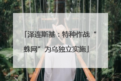 泽连斯基：特种作战“蛛网”为乌独立实施