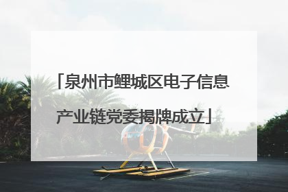 泉州市鲤城区电子信息产业链党委揭牌成立