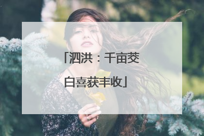 泗洪：千亩茭白喜获丰收