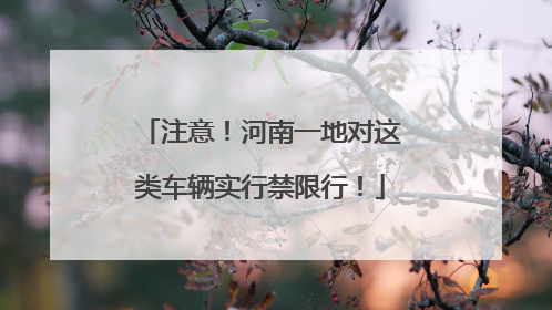 注意！河南一地对这类车辆实行禁限行！