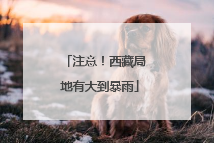 注意！西藏局地有大到暴雨