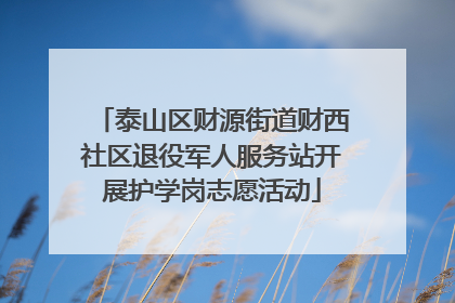 泰山区财源街道财西社区退役军人服务站开展护学岗志愿活动