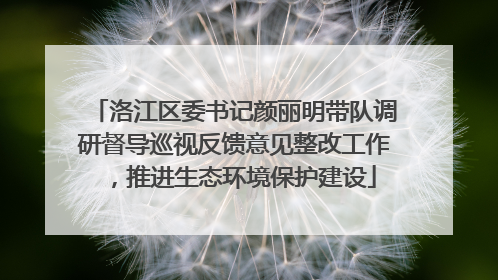 洛江区委书记颜丽明带队调研督导巡视反馈意见整改工作，推进生态环境保护建设