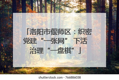 洛阳市偃师区：织密党建“一张网” 下活治理“一盘棋”